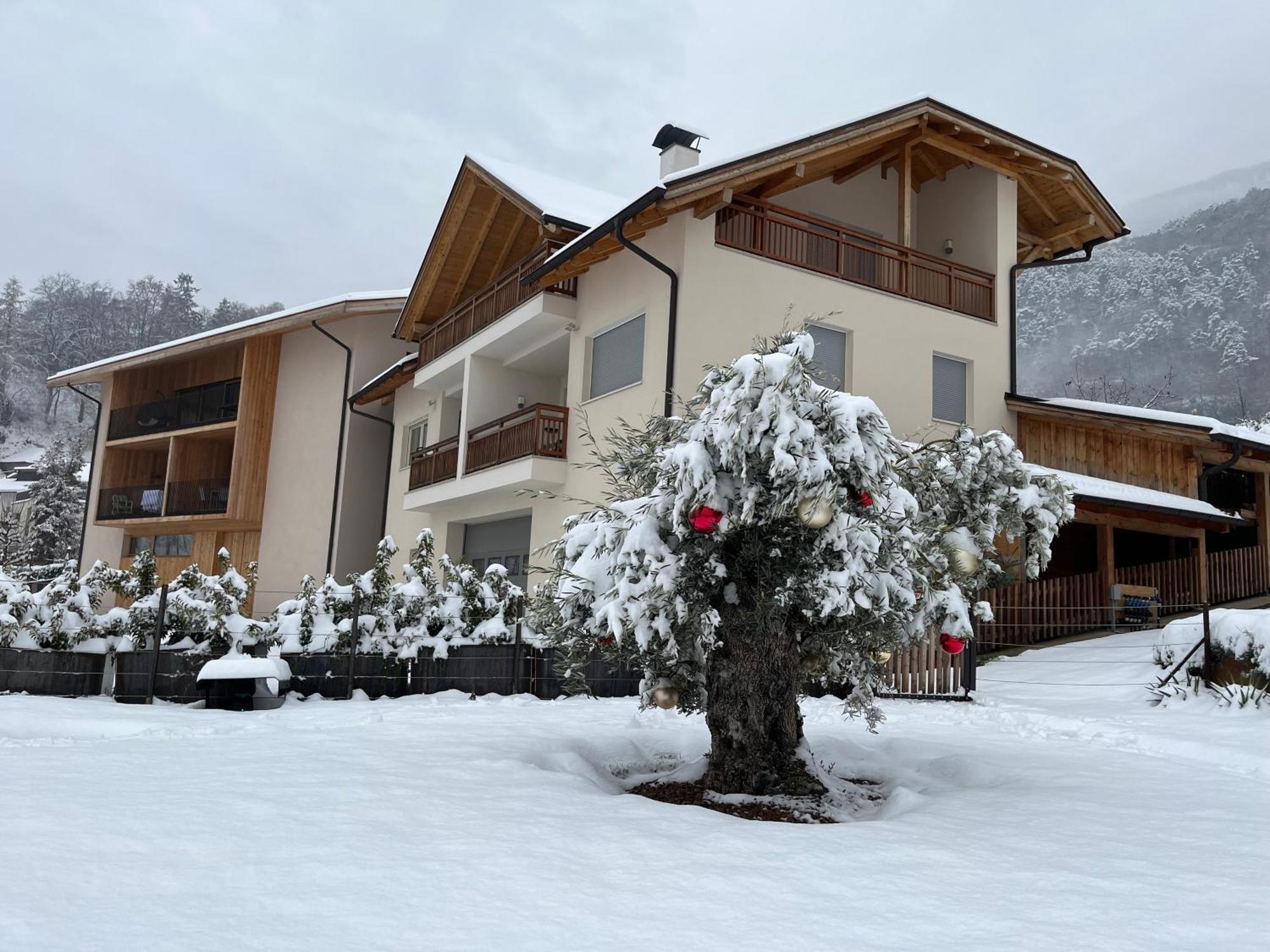 Egarter Apartment Appiano Sulla Strada Del Vino Exterior photo